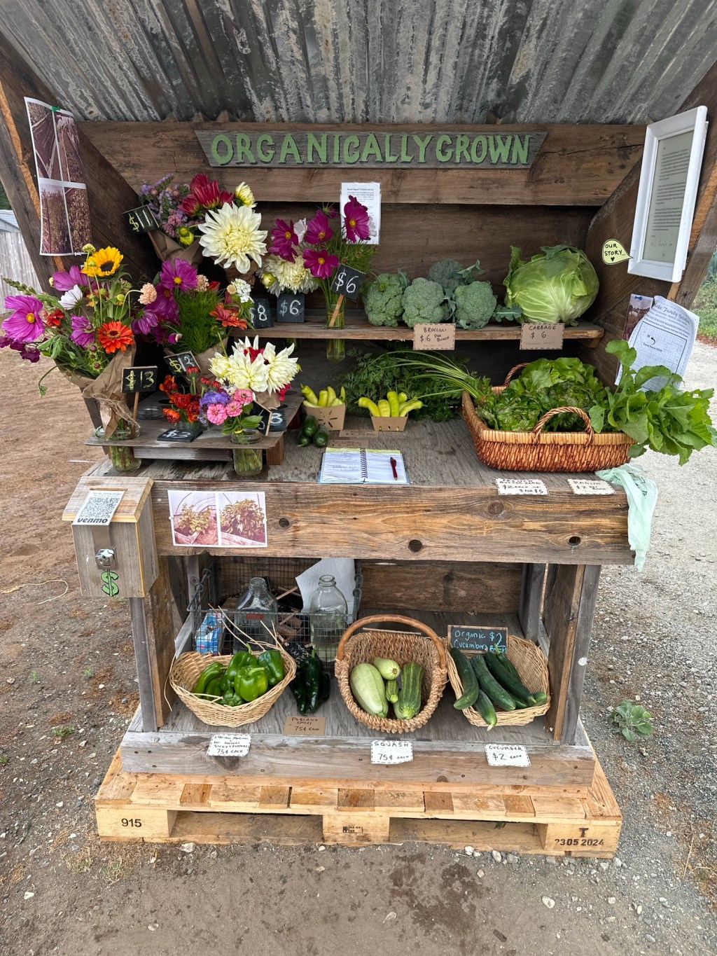 Todays offerings 7/22/25