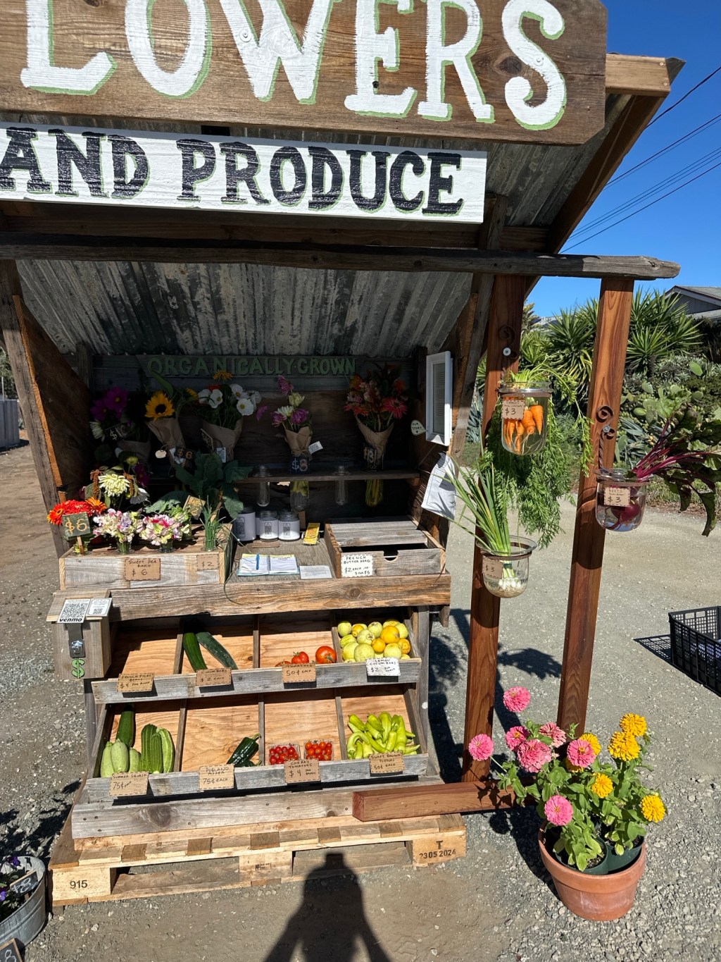 Monday’s offerings