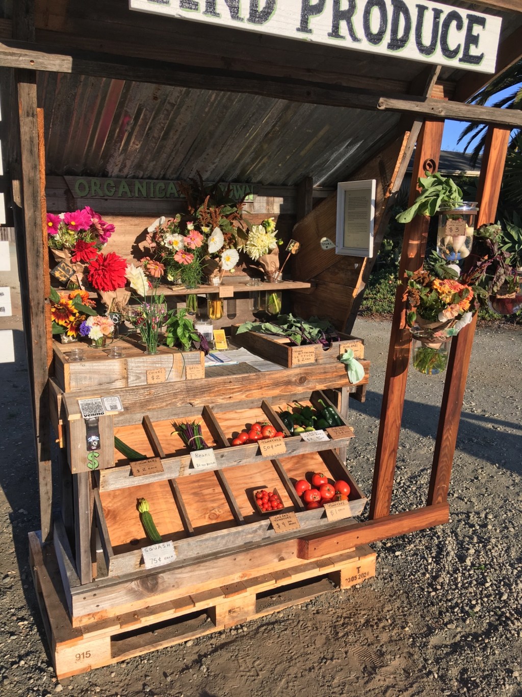 Wednesday’s offerings