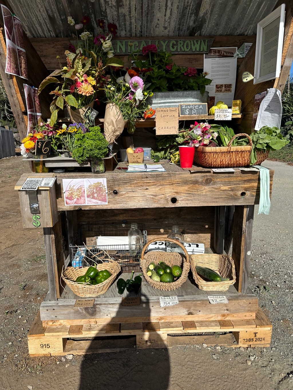 Monday’s offerings