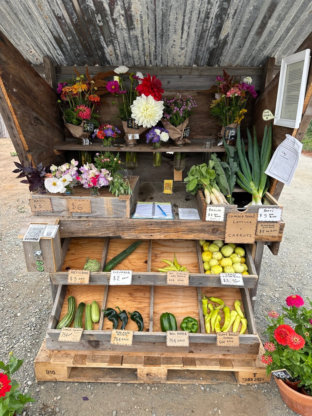 Wednesday’s offerings