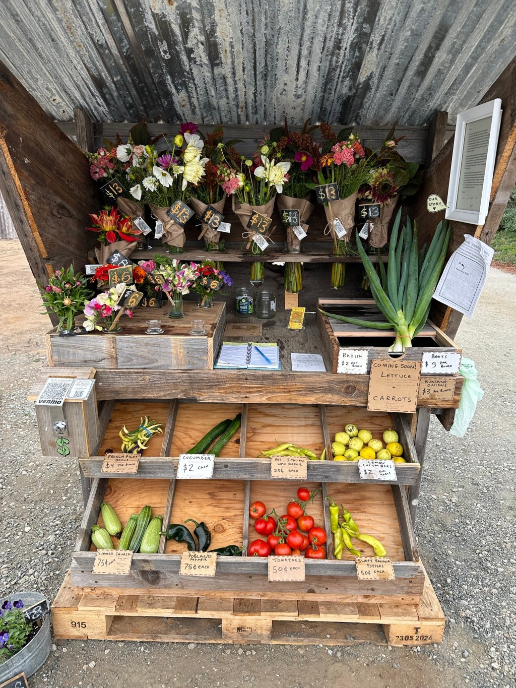 Friday’s offerings