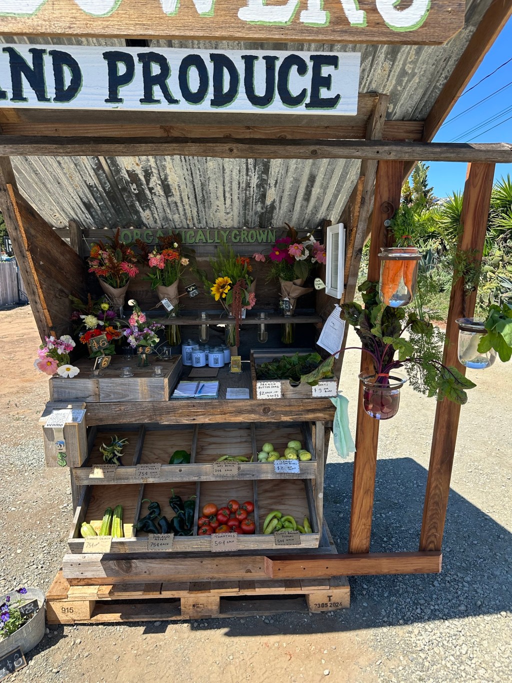 Saturday’s offerings