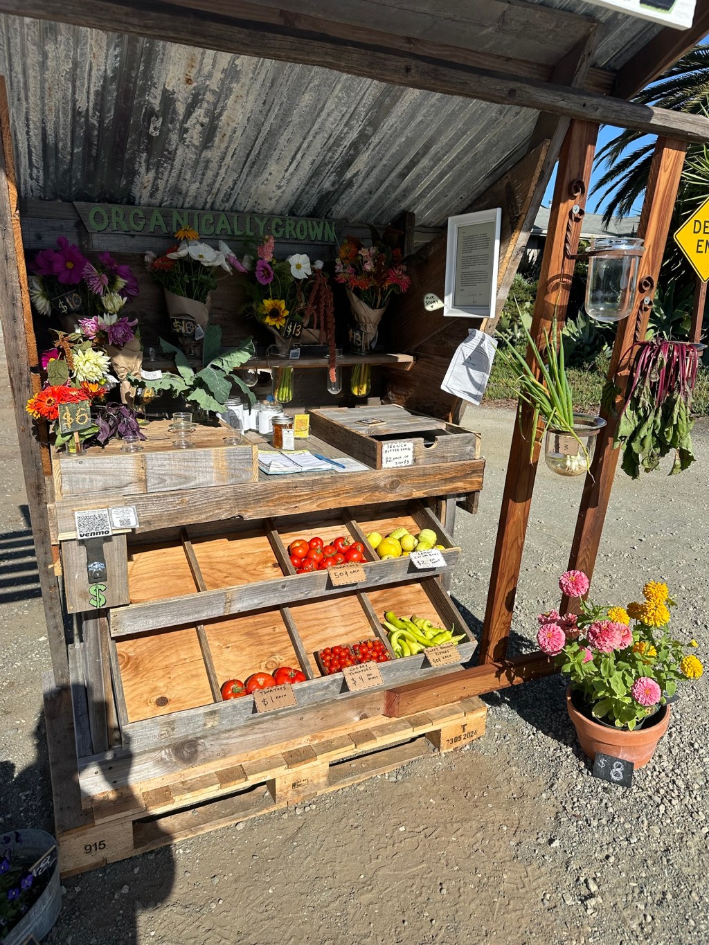 Tuesday’s offerings