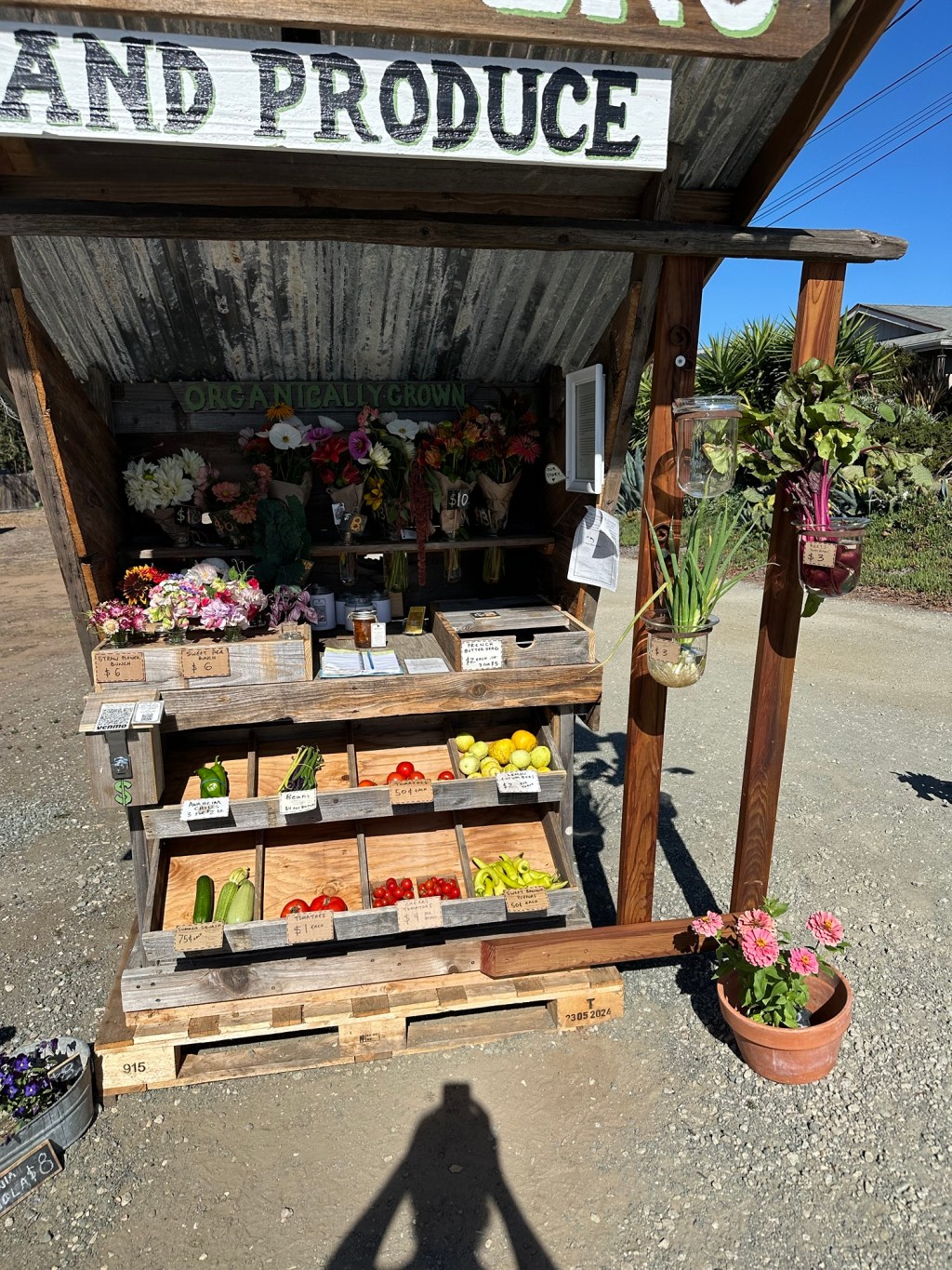 Wednesday’s offerings