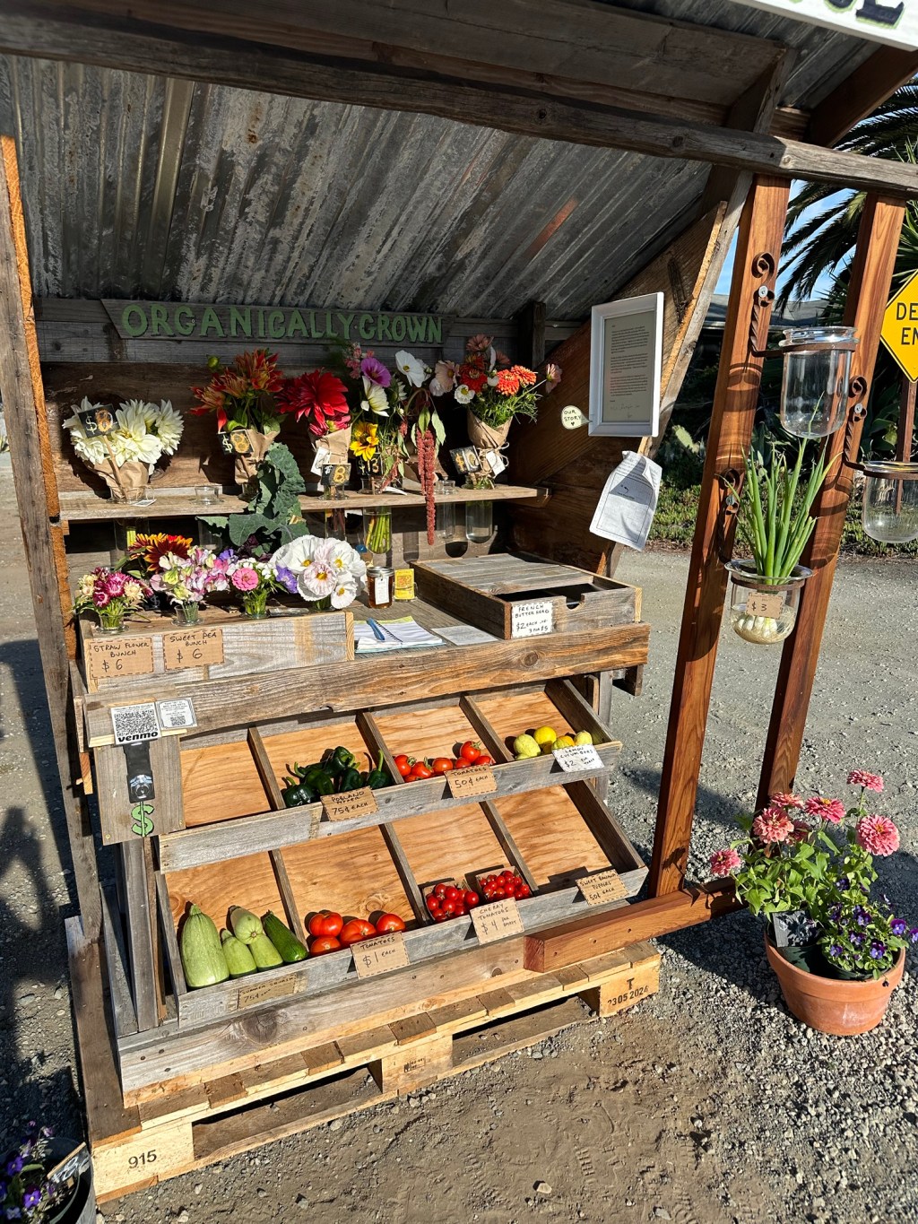 Thursday’s offerings