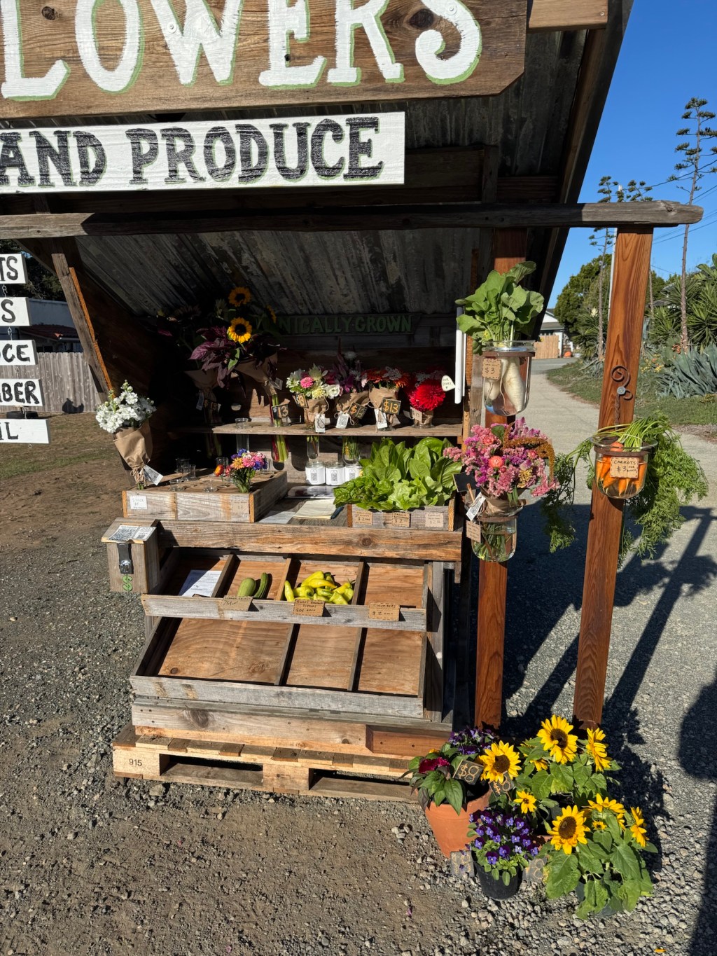 Thursday’s offerings