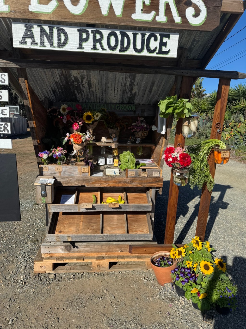 Friday’s offerings