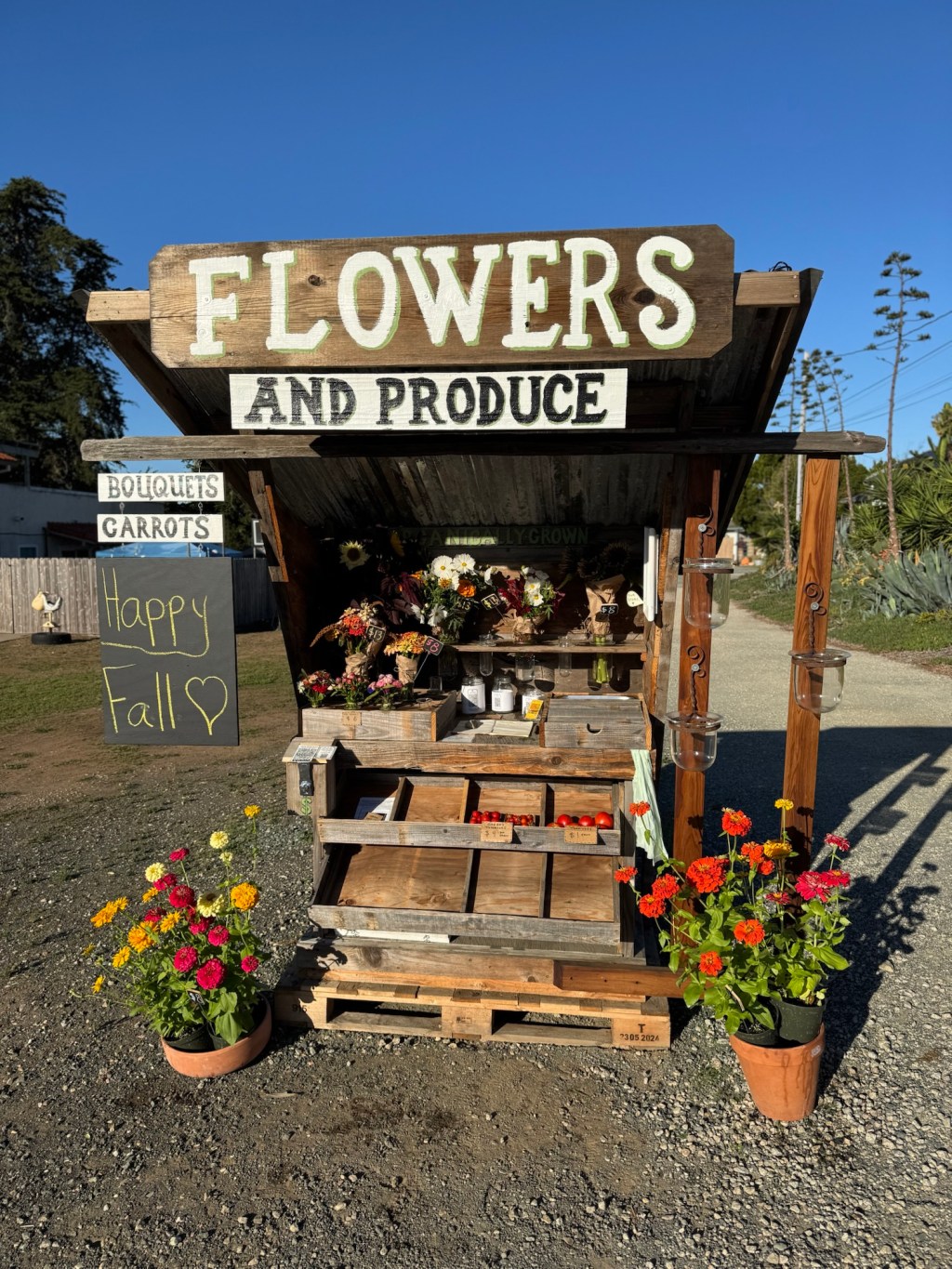 Friday’s Offerings