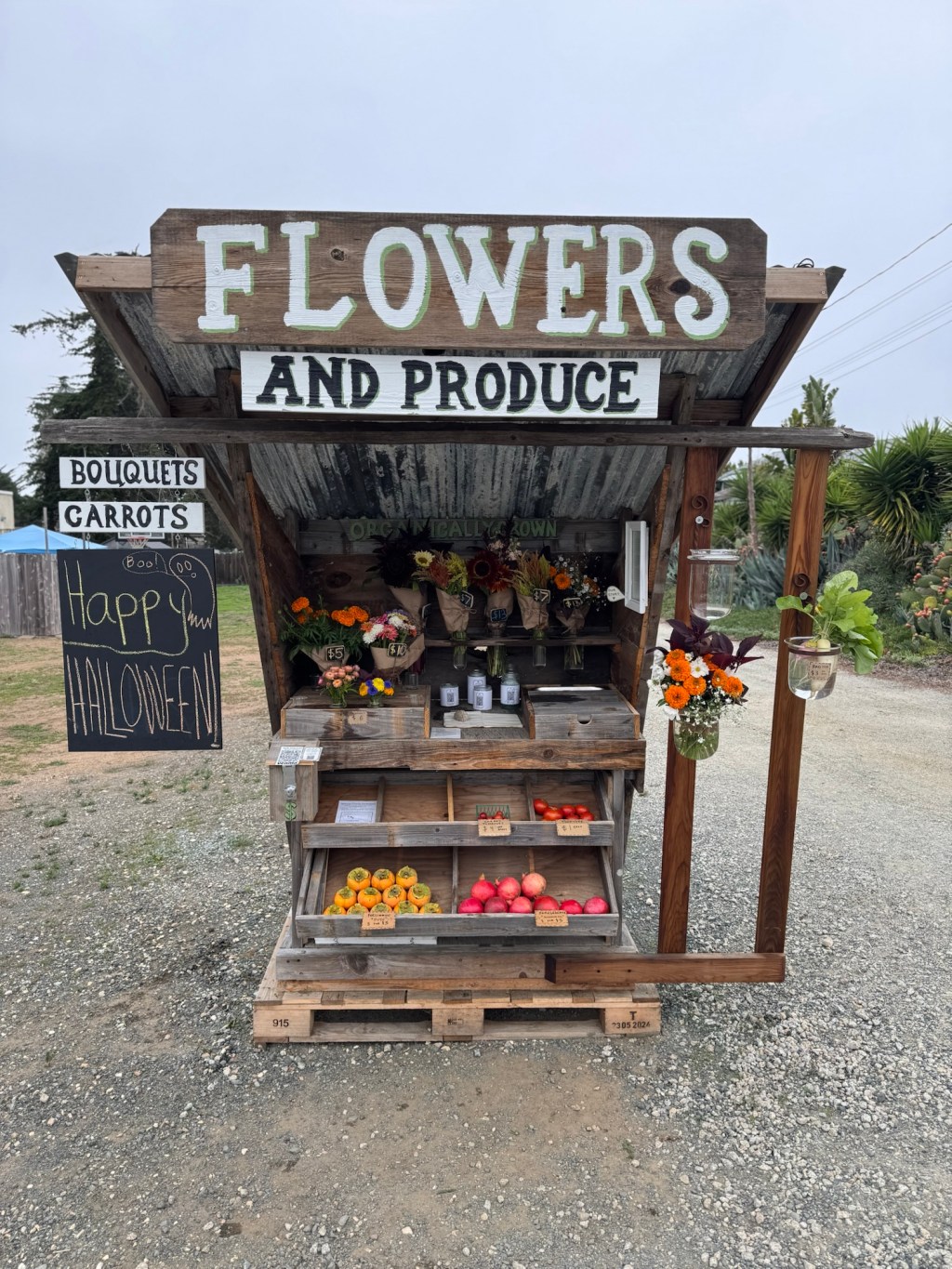 Happy Halloween!! Friday’s&nbsp;Offerings