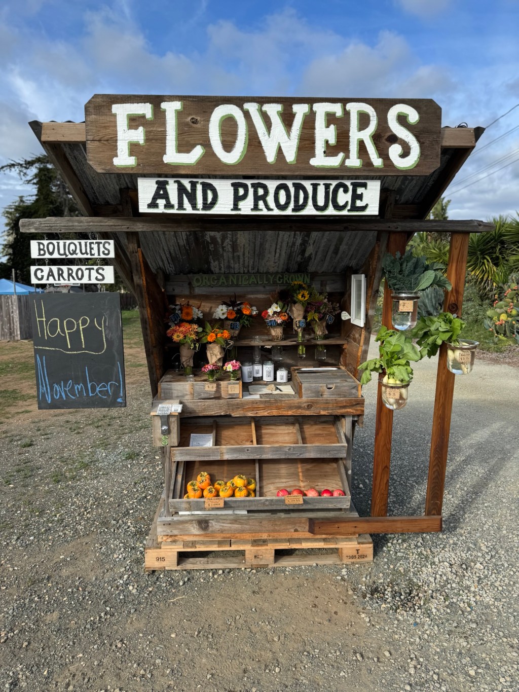 Wednesday’s Offerings