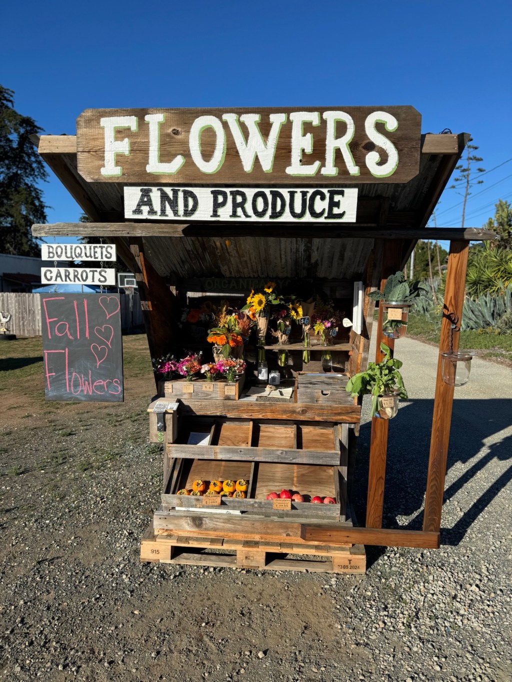 Friday’s Offerings